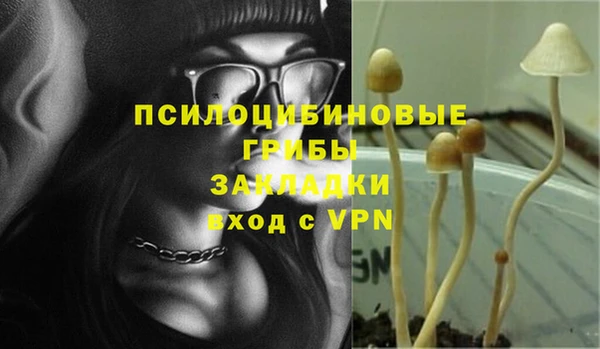 кокаин Новозыбков