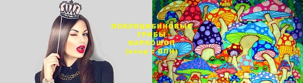 гидропоника Новодвинск