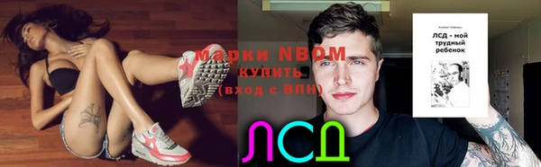 гидропоника Новодвинск