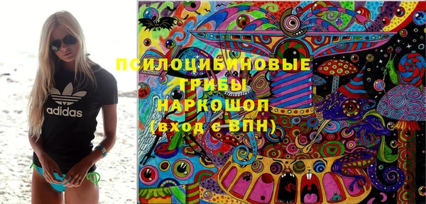 гидропоника Новодвинск