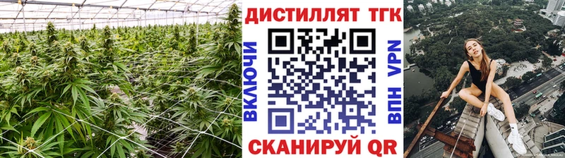 Дистиллят ТГК THC oil  Новомичуринск 