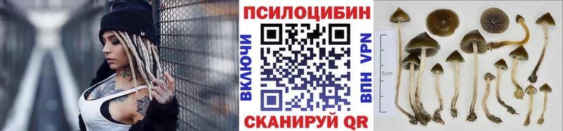 цена наркотик  мориарти наркотические препараты  Галлюциногенные грибы MAGIC MUSHROOMS  Новомичуринск 